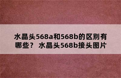 水晶头568a和568b的区别有哪些？ 水晶头568b接头图片